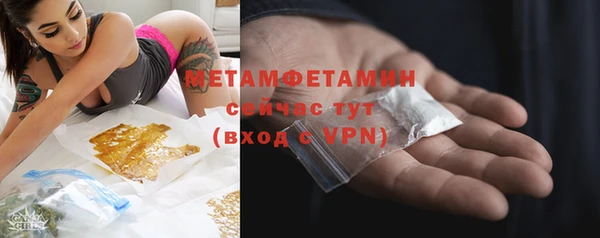 гидра Дмитров