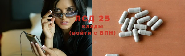 сатива Гусиноозёрск
