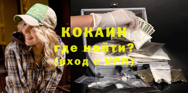 спайс Гусь-Хрустальный