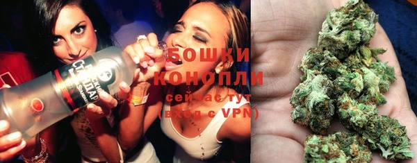 спайс Гусь-Хрустальный